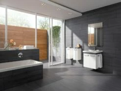 Geberit Renova Comfort Lichtspiegel 55 Cm